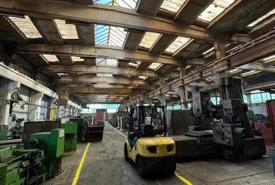 Vanzare/inchiriere 1-3 HALE si 1 cladire BIROURI, zona industriala mun. VASLUI - 3