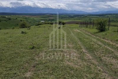 Teren de 11500 mp, în Daia - 2