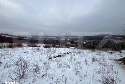 Teren de 1240 mp, în Tomești - 1