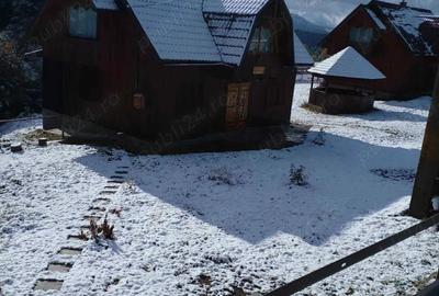 Cabana de vanzare - 6