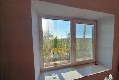 Casa renovata extinsa si teren 5470 mp Pantelimon Jud Const - 12