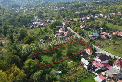 Teren de 2491 mp, în Arefu - 4