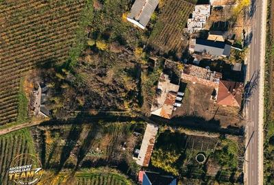 FILM! Casa boieresca autentica,domeniu de 4.000 mp intravilan,in podgoriile Odob - 13