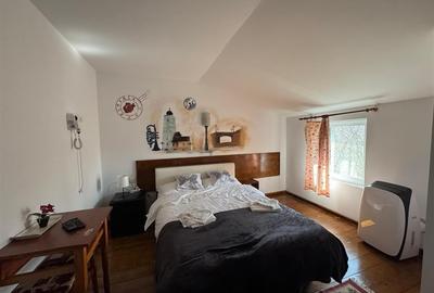 Inchiriere pensiune | Baneasa - Phoenicia | - 11