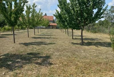 Casă cu 3 camere cu Teren 2078 Mp în Cuvin - 3