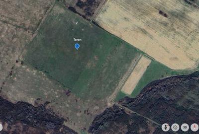 Spațiu comercial, în Lugoj - 5