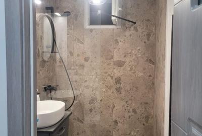 Apartament 2 camere de vanzare Drumul Taberei - Raul Doamnei - 13