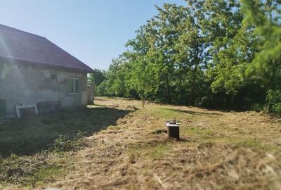 Casă cu 3 camere în Prisăcani - 3