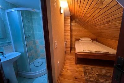 Casa de vacanta de vanzare in Lapusna - 5