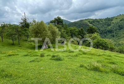 Teren intravilan de vanzare in Martinia de sus - 4