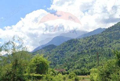 Teren 1600 mp cu proiect autoriza?ie, Chalet Duplex Ra?nov Glajerie - 2