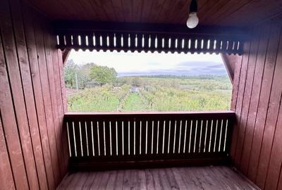 CABANA DE VANZARE, ARDUD-VII - 11