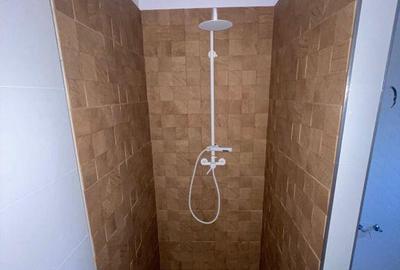 CASA PARTER+ETAJ ,VALU LUI TRAIAN, ZONA CENTRALA - 24