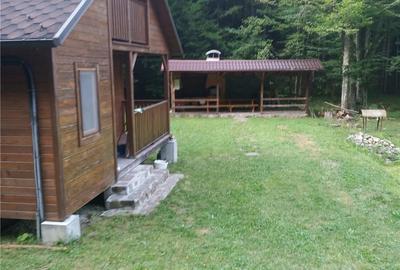 Casă cu 3 camere cu Teren 2000 Mp în Central - 2