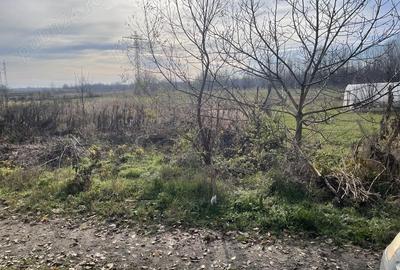 Teren de 953 mp, în Săteni - 2