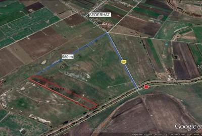 4,5 ha teren arabil Pecica - 3