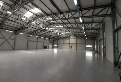 Drumul Intre Tarlale - birouri si depozitare - temperatura controlata - 33