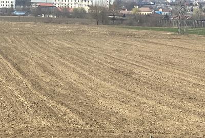 Teren agricol extravilan în Ciugud - 2