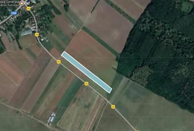Teren de 6569 mp, în Balta Doamnei - 2