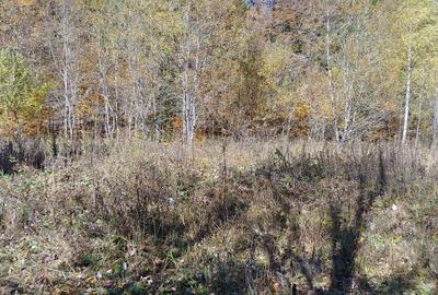 Alfa Invest Vinde Teren intravilan in Predeal - 1