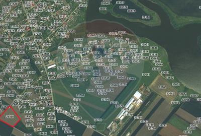 Teren intravilan - 17.500 mp - Gostilele Fundulea - 6