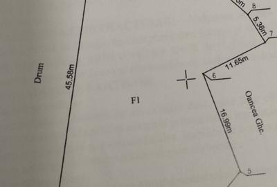 Teren de 3066 mp, în Pianu - 2