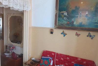 Vanzare Apartament cu 1 camere cf.1 decomandat, mobilat si utilat, pozitie buna, zona Plantelor - 17