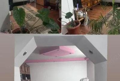 Casă cu 3 camere cu Teren 225 Mp în Berceni - 5