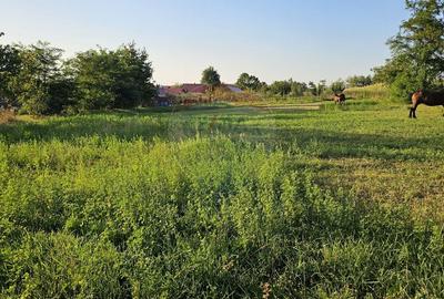 Teren intravilan 1,733mp Mitocasi, Suceava - 21
