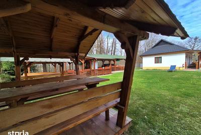 Casă cu 9 camere cu Teren 3500 Mp în Ocna Șugatag - 17