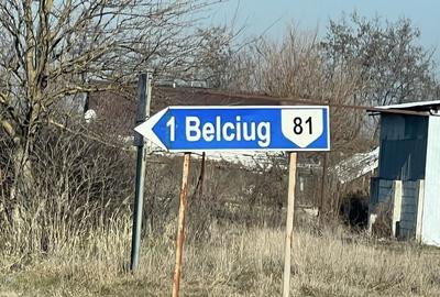 Casă cu 2 camere în Belciug - 7