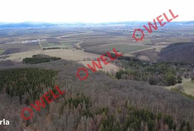 Spațiu comercial, în Dalnic - 5