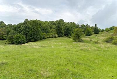 Teren de vanzare Breaza – Nistoresti, Str. Muresului - 6