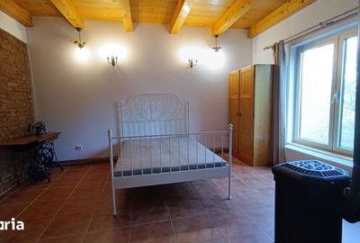 Casă cu 3 camere cu Teren 2135 Mp în Petrești - 6