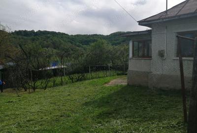 Casa de vanzare Provita de Jos Prahova - 9