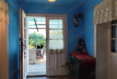 Casă cu 2 camere cu Teren 4600 Mp în Calea Mare - 10