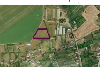 Teren de 7000 mp, în Telița - 3