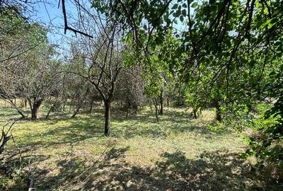 Casă de vânzare, teren 1400mp | Măldăeni, Teleorman - 3