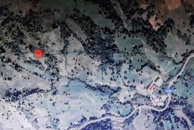 Teren extravilan suprafa?a mare Campulung Moldovenesc - 1