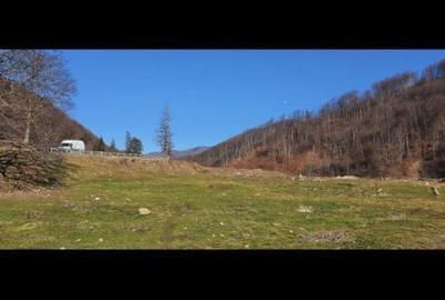 Spațiu comercial, în Moroeni - 3