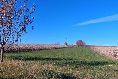 Teren, loc de casa 1800 mp - 7