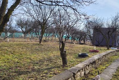 Teren intravilan de 4200 mp, în Periferie - 1