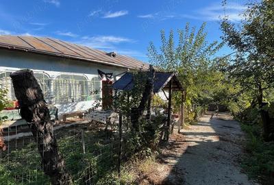 Casa veche cu teren generos com. Rosiile, Valcea - 1