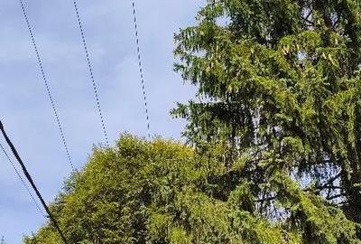 Teren de 4080 mp, în Valea Doftanei - 7