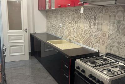 Apartament cu 2 camere decomandat în Lunca Cetățuii - 6