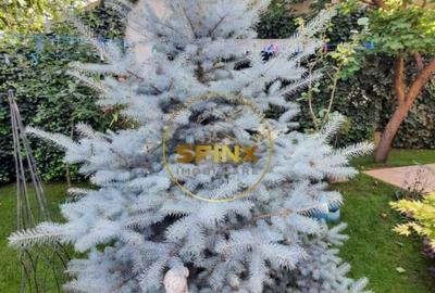 Casă individuală cu 5 camere cu Canalizare în Giulești - 29