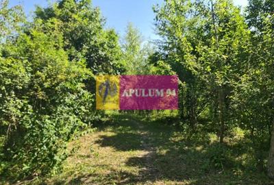 Teren de vânzare în Poiana-Câmpina - 8