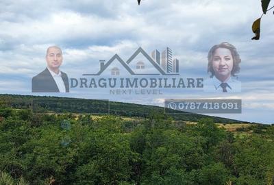 Teren generos 2186 mp cu casă bătrânească – Copăcești, județul Vrancea - 1