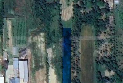 Teren intravilan pentru casa, 1000 mp Coste?ti din Dea - 1