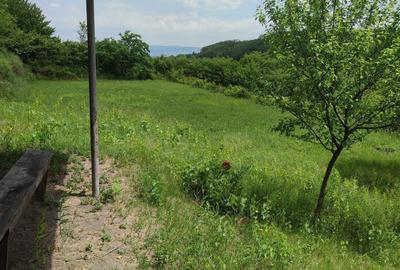 Teren de 4430 mp, în Sărata (Solonț) - 6